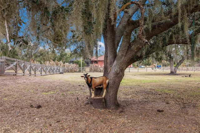 2731 LOGUE ROAD, Myakka City, FL 34251