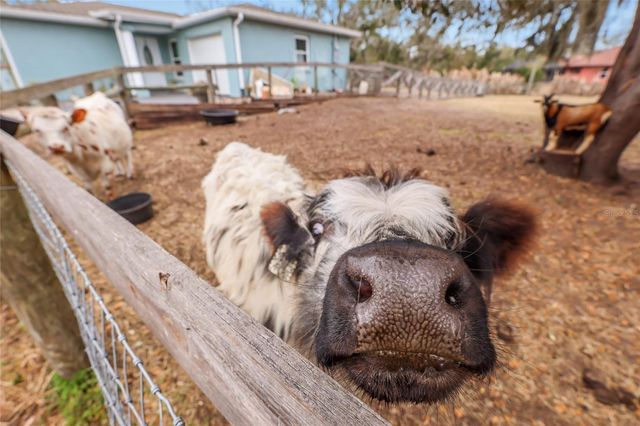 2731 LOGUE ROAD, Myakka City, FL 34251