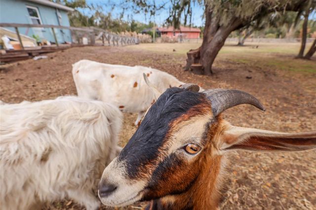 2731 LOGUE ROAD, Myakka City, FL 34251