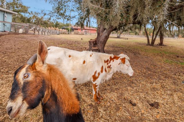 2731 LOGUE ROAD, Myakka City, FL 34251