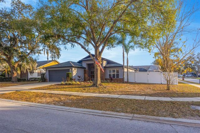 2558 BRIMHOLLOW DRIVE, Valrico, FL 33596