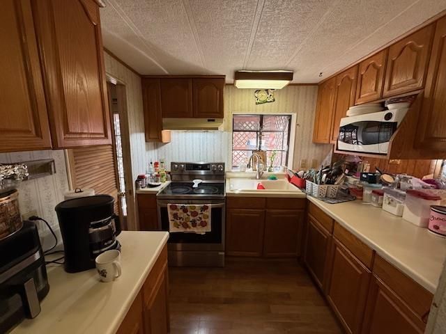 13419 Frostdale DR, Cedar Park, TX 78613