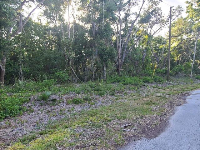 9840 N SNOWBALL POINT, Crystal River, FL 34428