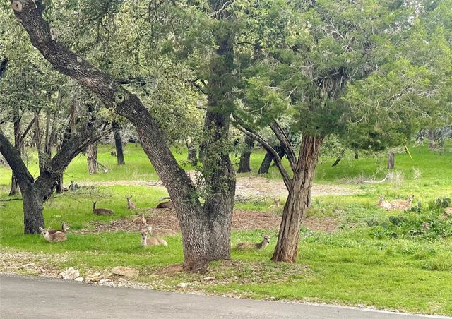 2334 Sanbar Road 81, Possum Kingdom Lake, TX 76449