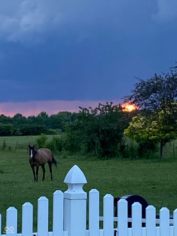 4462 S 600 Road W, New Palestine, IN 46163