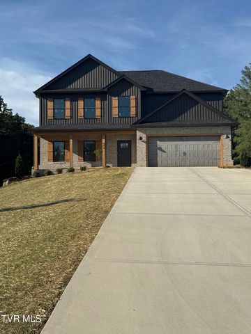 444 Tortoise Way, Jonesborough, TN 37659