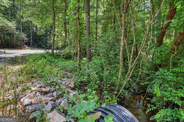 0 Hwy 76 W, Clayton, GA 30525