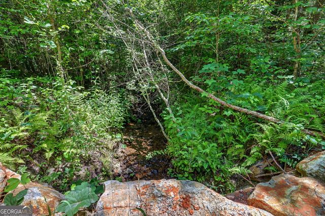 0 Hwy 76 W, Clayton, GA 30525