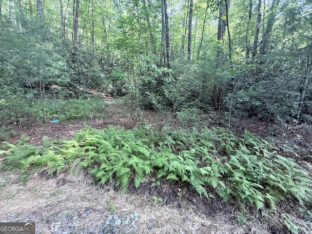 0 Hwy 76 W, Clayton, GA 30525