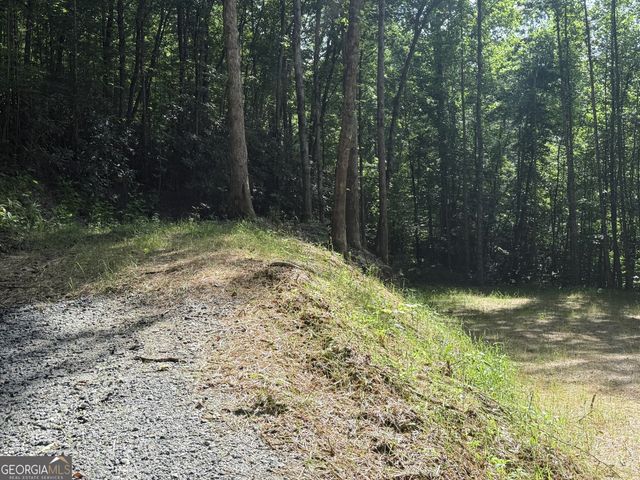 0 Hwy 76 W, Clayton, GA 30525