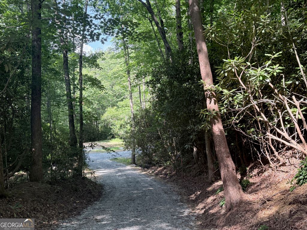 0 Hwy 76 W, Clayton, GA 30525 — photo 3