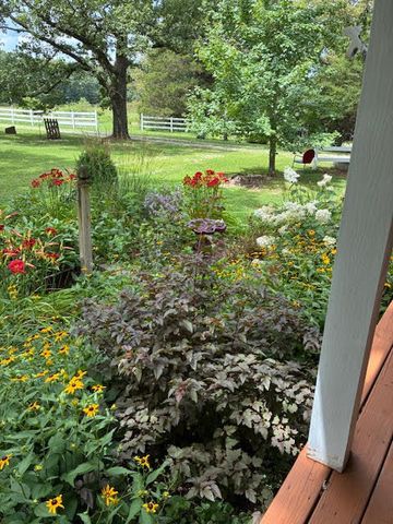 739 Timber Ridge Road, Marshfield, MO 65706