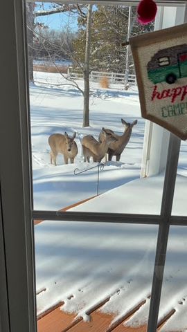 739 Timber Ridge Road, Marshfield, MO 65706