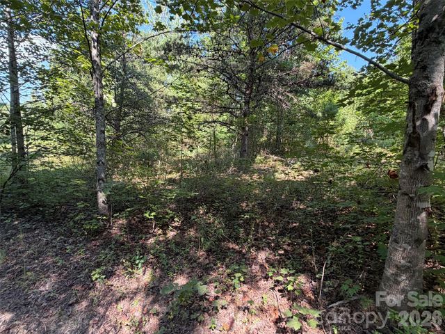 420 Southern Way, Nebo, NC 28761