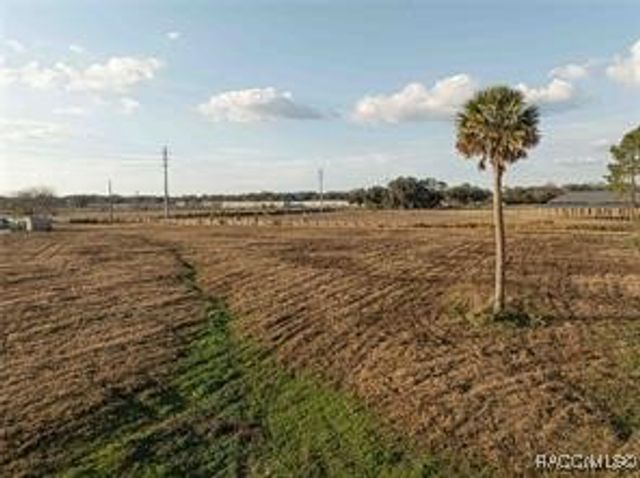 2619 CR 523, Wildwood, FL 34785