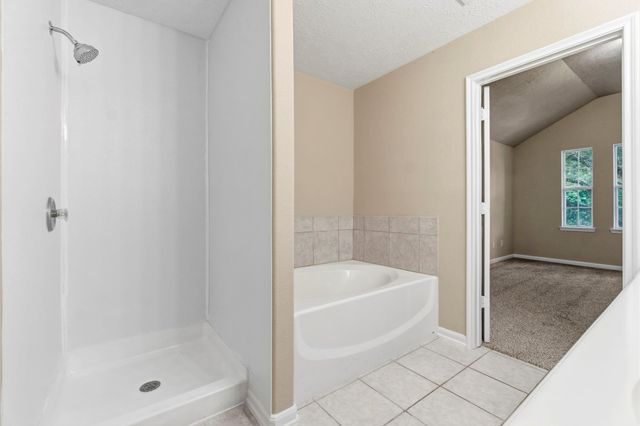 13730 Running Bear Drive, Willis, TX 77378