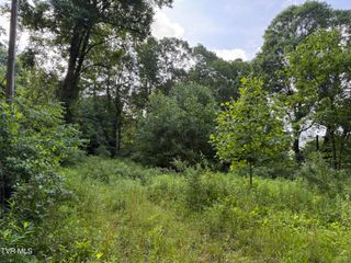 353 Clarence Potter Road, Mountain City, TN 37683