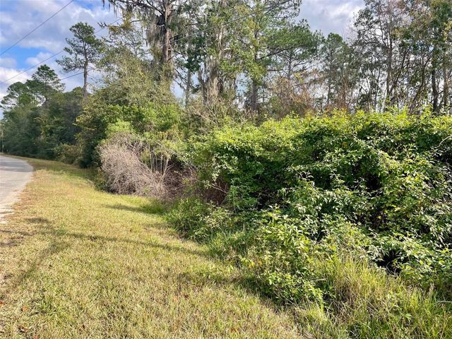 000 FISHER RUN, Ocklawaha, FL 32179
