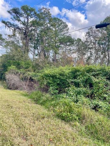 000 FISHER RUN, Ocklawaha, FL 32179