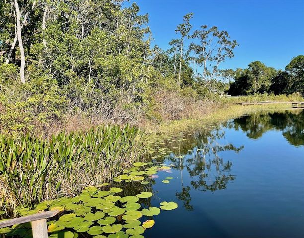 000 FISHER RUN, Ocklawaha, FL 32179