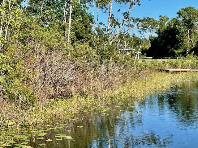 000 FISHER RUN, Ocklawaha, FL 32179