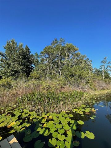 000 FISHER RUN, Ocklawaha, FL 32179