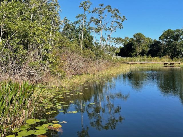 000 FISHER RUN, Ocklawaha, FL 32179