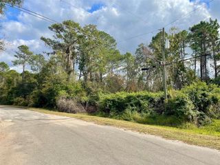 000 FISHER RUN, Ocklawaha, FL 32179