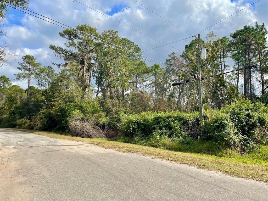 000 FISHER RUN, Ocklawaha, FL 32179