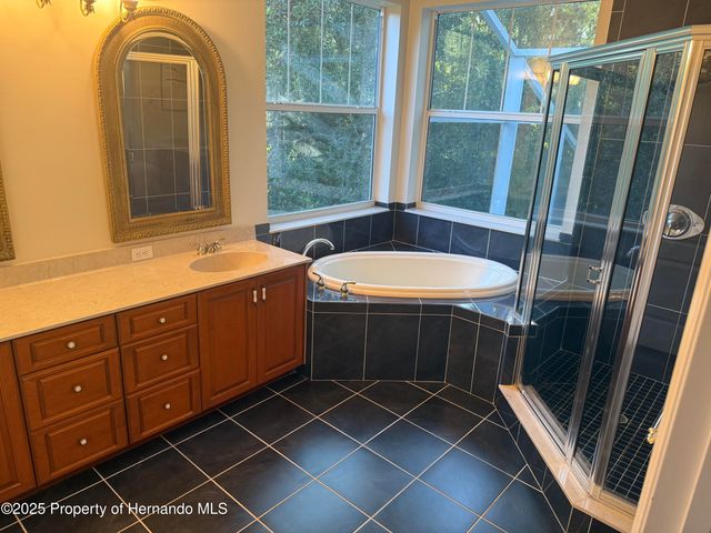 22770 Skyview Circle, Brooksville, FL 34602
