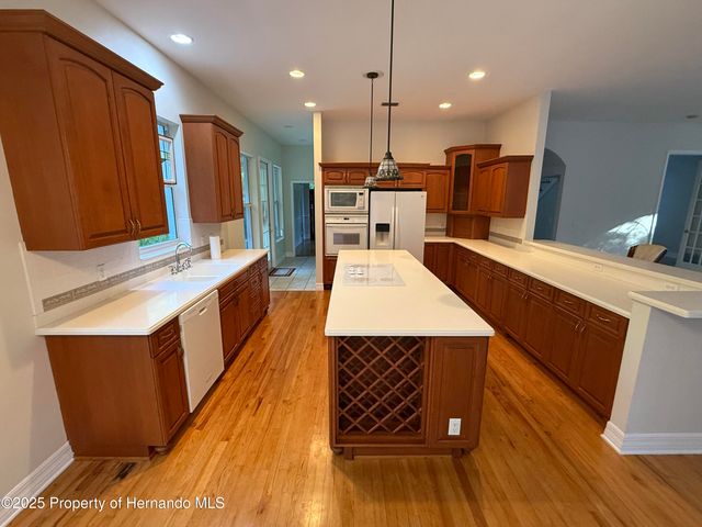 22770 Skyview Circle, Brooksville, FL 34602