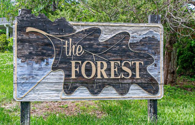 99999 BLACK OAK Drive 13, Asheville, NC 28804