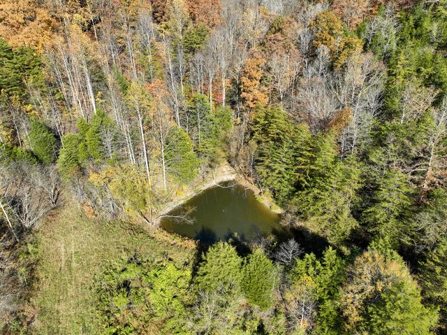 1445 Bastin Creek Road, Kings Mountain, KY 40442