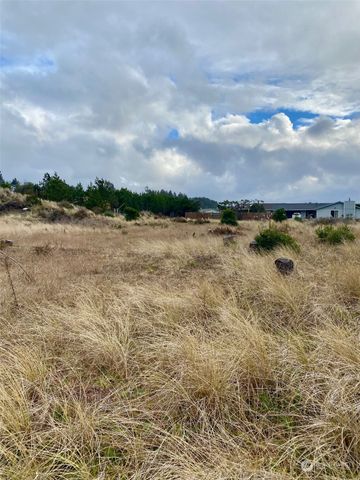 802 347th Place, Ocean Park, WA 98640