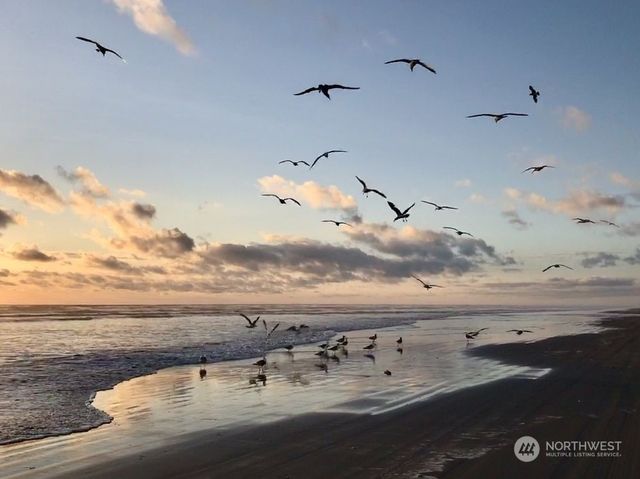 802 347th Place, Ocean Park, WA 98640