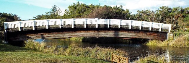 802 347th Place, Ocean Park, WA 98640