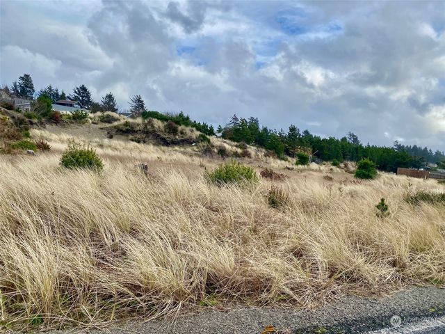 802 347th Place, Ocean Park, WA 98640