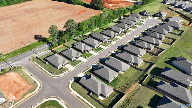 15695 Mizewell Lane NW, Harvest, AL 35749