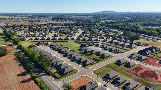 15695 Mizewell Lane NW, Harvest, AL 35749