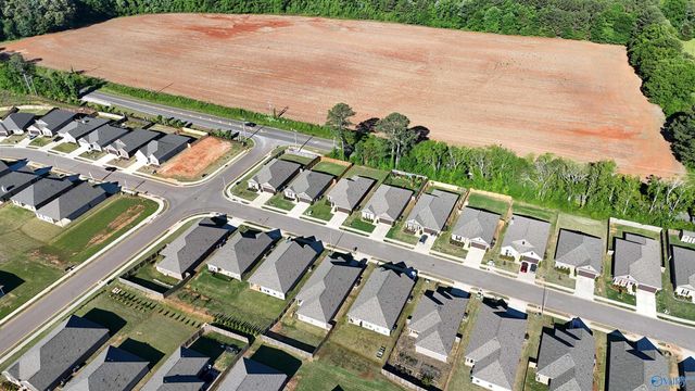 15695 Mizewell Lane NW, Harvest, AL 35749