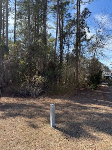 2001 Spring Valley Ct., Loris, SC 29569