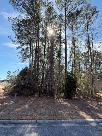 2001 Spring Valley Ct., Loris, SC 29569