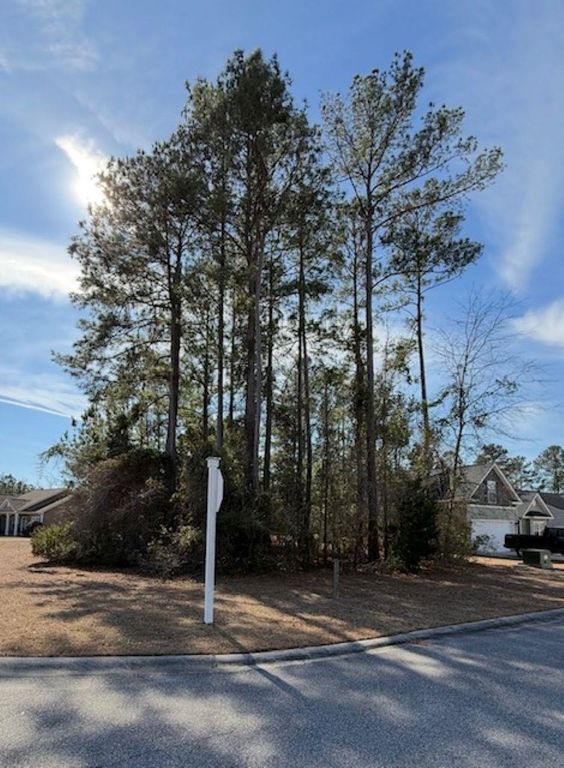 2001 Spring Valley Ct., Loris, SC 29569
