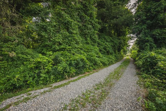 10289 Russwood RD, Bent Mountain, VA 24059