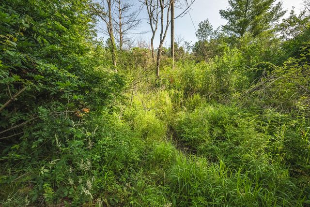 10289 Russwood RD, Bent Mountain, VA 24059