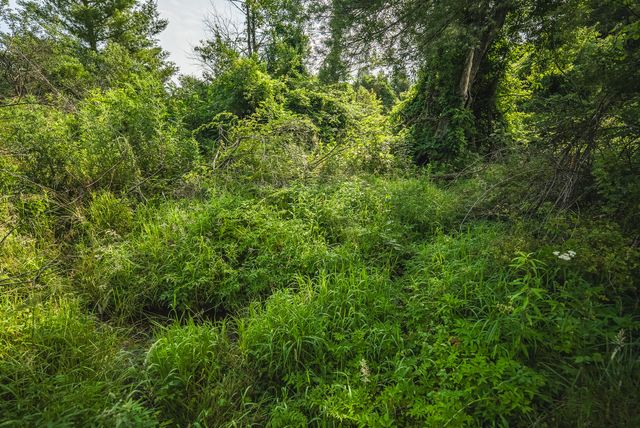 10289 Russwood RD, Bent Mountain, VA 24059