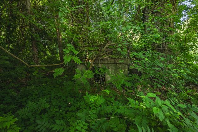 10289 Russwood RD, Bent Mountain, VA 24059