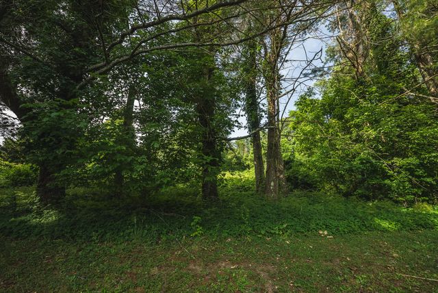 10289 Russwood RD, Bent Mountain, VA 24059