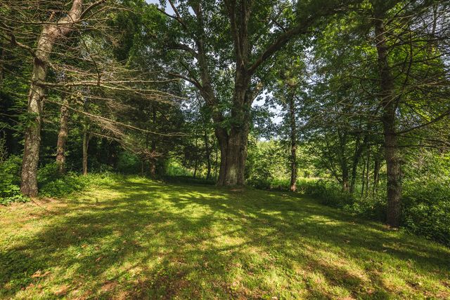 10289 Russwood RD, Bent Mountain, VA 24059