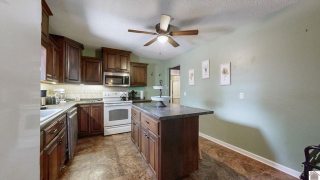 78 Bendefield Road, Farmington, KY 42040